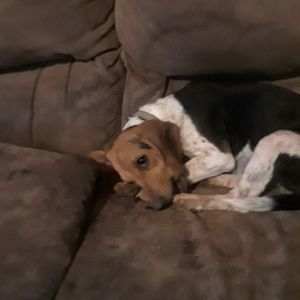 Meet your Posher, Kaylee